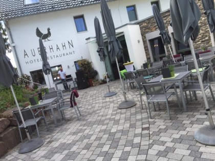 照片: Auerhahn